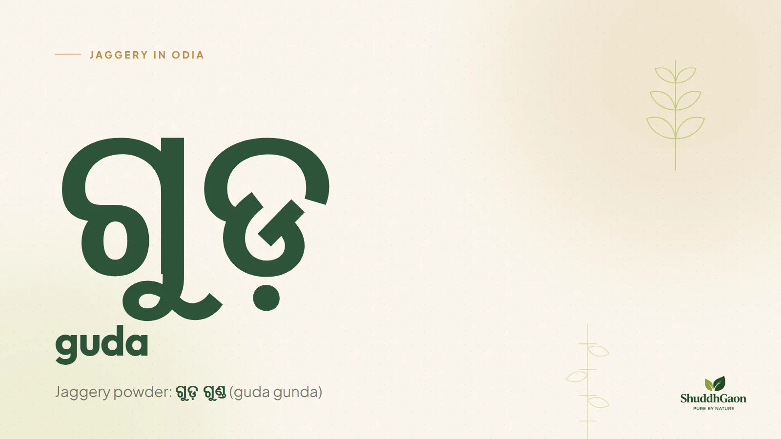 The Odia word for jaggery, ଗୁଡ଼, written in Odia script with its spelling guda