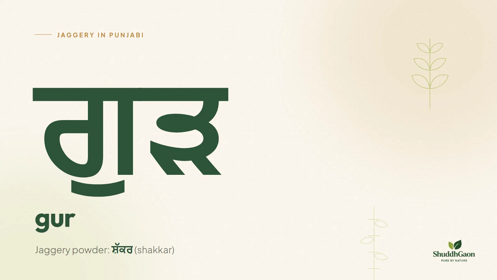 The Punjabi word for jaggery, ਗੁੜ, written in Punjabi script with its spelling gur